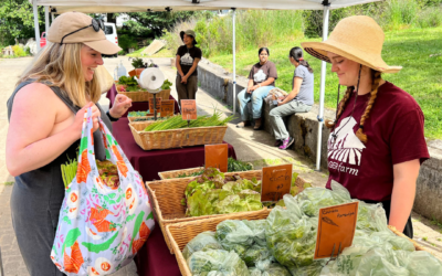 Why Community Supported Agriculture (CSA)?